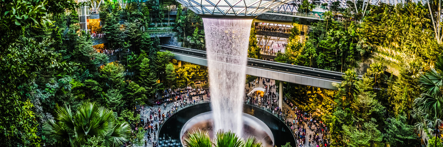 Hall moderne d’aéroport avec grande verrière, lumière naturelle et végétation intérieure