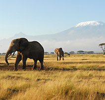 Aéroports d'Afrique